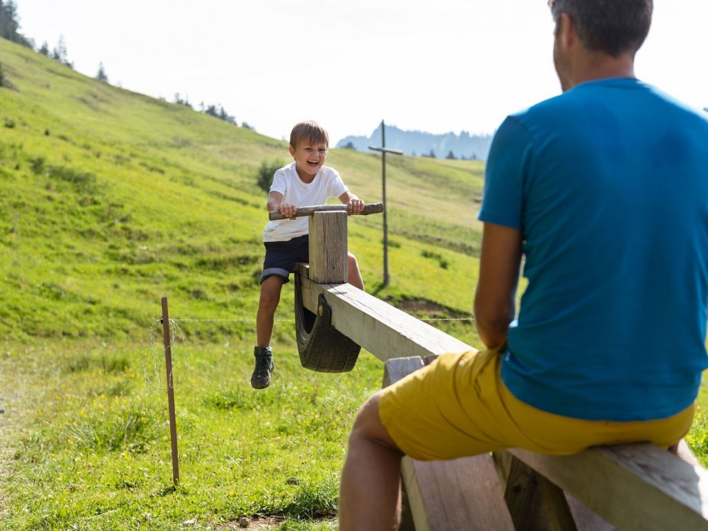 Kinderwippe auf der Alpe Greußings Wildmoos in Bezau
